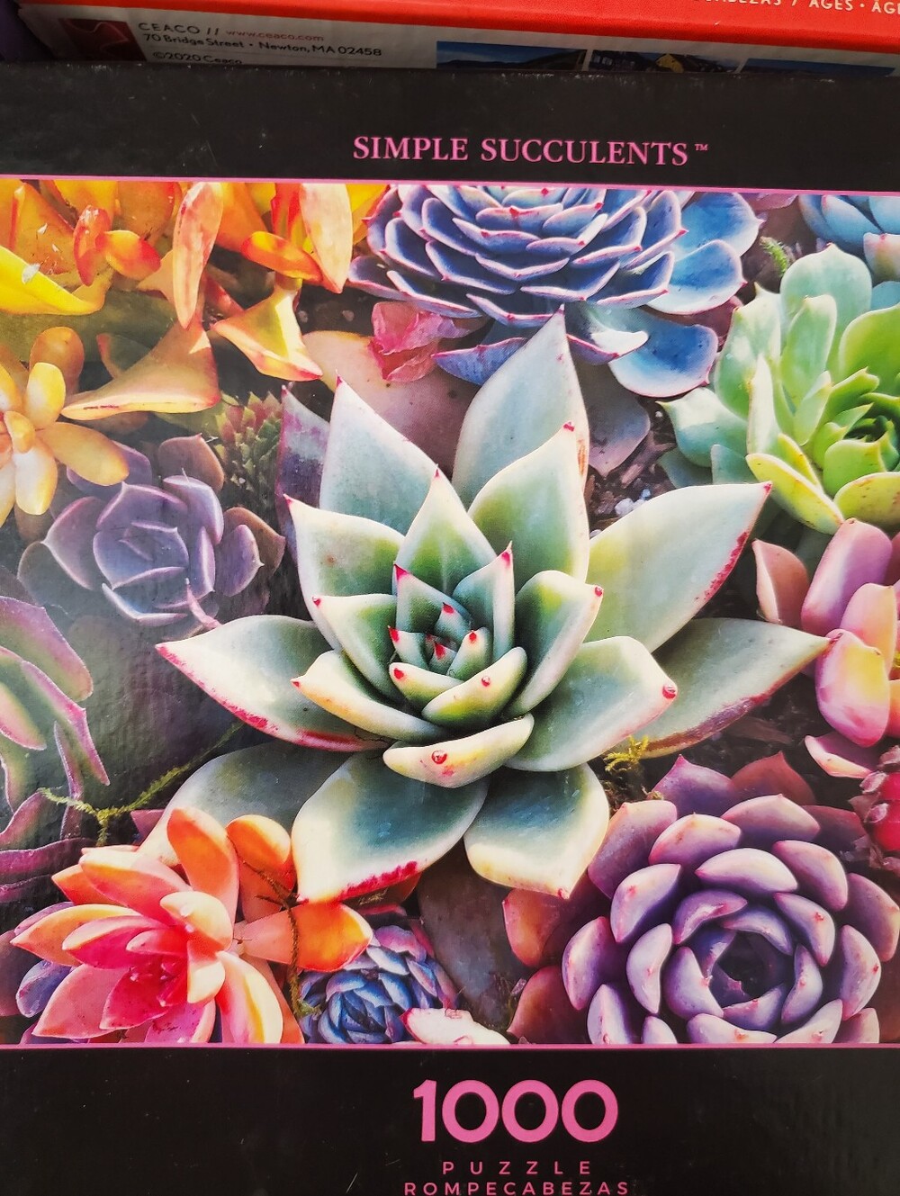 Puzzle Bundle - Picture 3 of 5